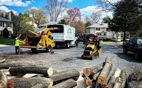 Best Leaf Removal  in Pleasanton, CA