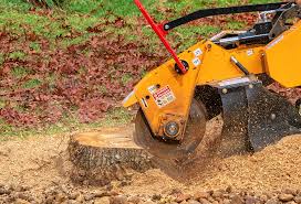 Best Lawn Watering Services  in Pleasanton, CA